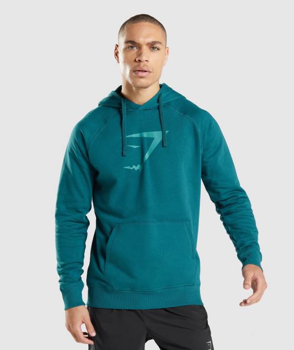 Panske Mikiny S Kapucňou Gymshark Sharkhead Infill Tyrkysové | QR5138709